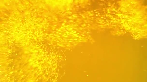 Close up shot of fresh beer in slow motion — Stock Video
