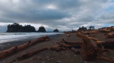 Quileute rezervasyonundaki Wild La Push Plajı - seyahat fotoğrafçılığı