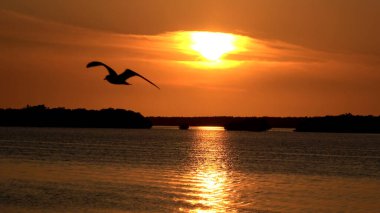 Florida Keys 'te inanılmaz bir gün batımı - seyahat fotoğrafçılığı