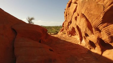 Ateş Vadisi 'nde sıcak ve güneşli bir gün - seyahat fotoğrafçılığı