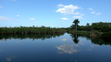 Güney Amerika Everglades 'te romantik bir göl.