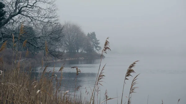 Pequeno lago na névoa em um dia nebuloso - fotografia de viagem — Fotografia de Stock