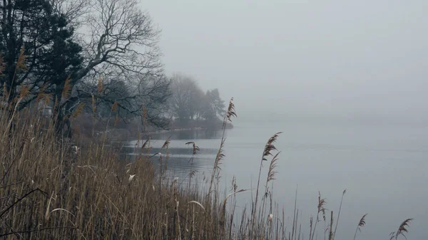 Mystic River za mlhavého dne - romantický výhled - cestovní fotografie — Stock fotografie