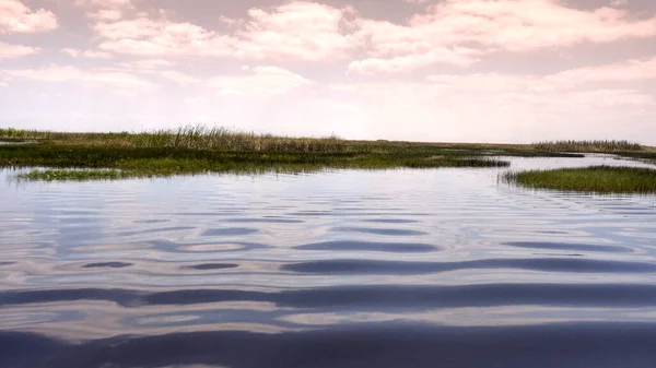 Amazing and thrilling ride through USAs Everglades