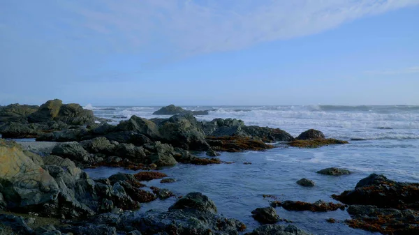 位于美国加州一个小镇"庇护湾"的太平洋海岸- -旅游摄影 — 图库照片