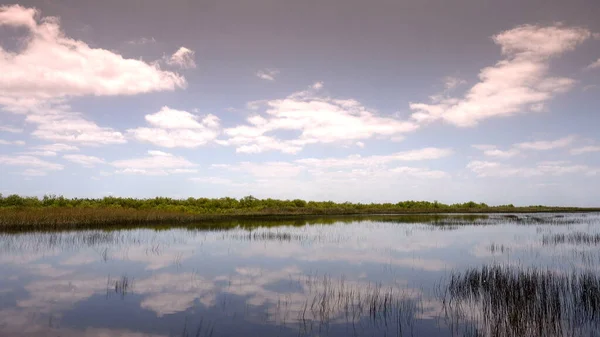 在迈阿密附近的大沼泽地中乘坐飞艇 — 图库照片
