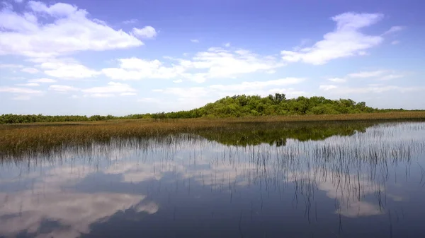 Emocionante paseo en barco a través de los Everglades en Estados Unidos — Foto de Stock