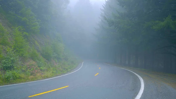 Sisin içindeki ıssız yol Redwood Ulusal Parkı 'na çıkıyor. Seyahat fotoğrafçılığı. — Stok fotoğraf