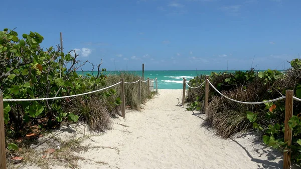 Magnifique plage dans les Caraïbes — Photo