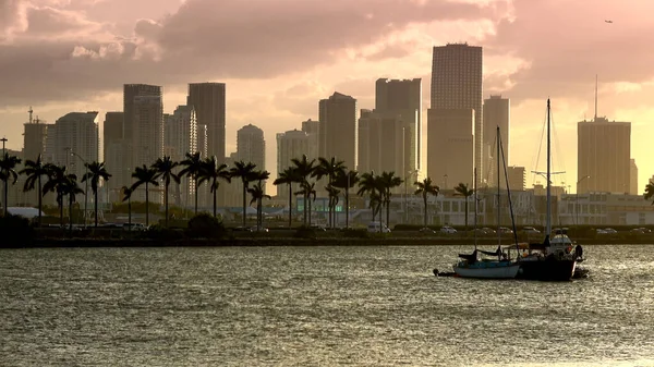 El horizonte del centro de Miami al atardecer — Foto de Stock