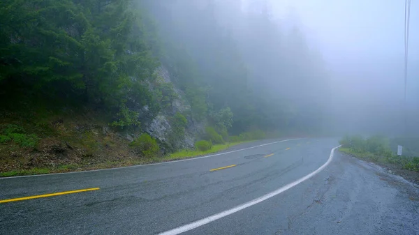 Sisin içindeki ıssız yol Redwood Ulusal Parkı 'na çıkıyor. Seyahat fotoğrafçılığı. — Stok fotoğraf