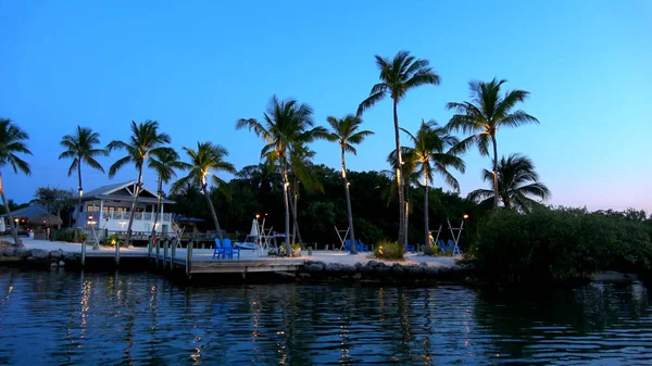 Florida Keys 'te güzel bir körfez - akşam manzarası - seyahat fotoğrafçılığı