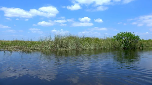 Increíble paseo en lancha aérea a través de los Everglades del sur de Estados Unidos — Foto de Stock