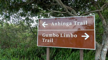 Everglades 'te Gumbo Limbo Yolu