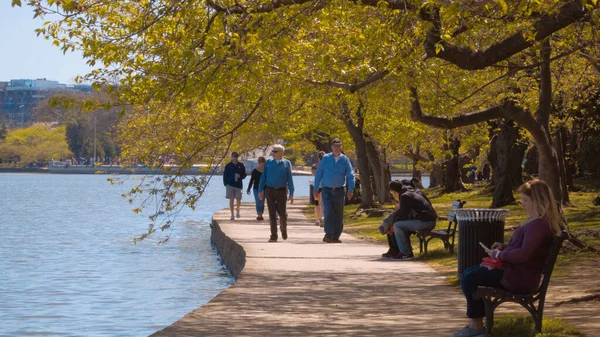 Spaziergang am Tidale Basin in Washington DC - WASHINGTON, USA - 8. April 2017 — Stockfoto