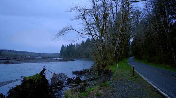 Hoh Road in the Hoh rain forest at Olympic National Park - ταξιδιωτικές φωτογραφίες — Φωτογραφία Αρχείου