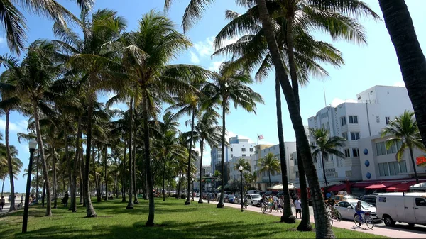 Palm trees at Ocean Drive Miami Beach - MIAMI, Verenigde Staten APRIL 10, 2016 — Stockfoto