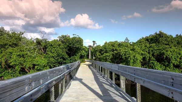 Bela natureza verde e paisagens no sul dos EUA — Fotografia de Stock