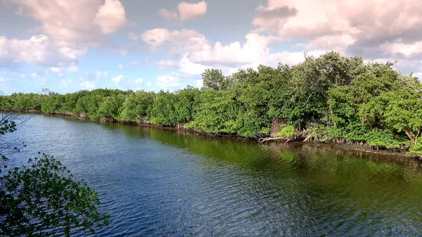 Hermosa naturaleza verde y paisajes en el sur de Estados Unidos —  Fotos de Stock