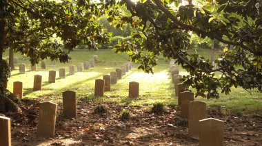 Oakland Mezarlığı 'ndaki Askeri Mezar Taşları Atlanta - ATLANTA, ABD - 20 Nisan 2016