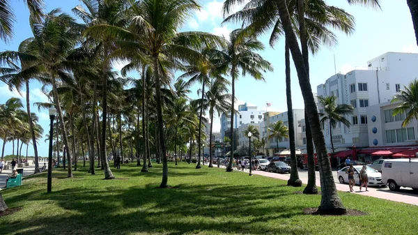 Palmiers à Ocean Drive Miami Beach - MIAMI, États-Unis 10 AVRIL 2016 — Photo