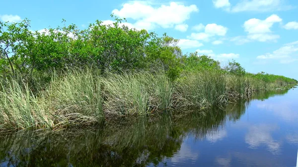 Increíble paseo en lancha aérea a través de los Everglades del sur de Estados Unidos — Foto de Stock