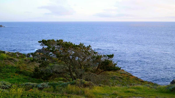 Чудове узбережжя Тихого океану на Big Sur California - Travels photography — стокове фото