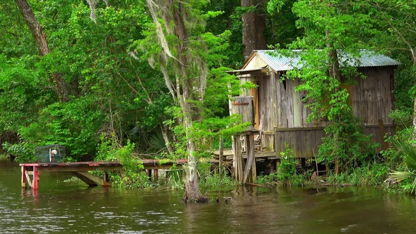 Cabana de madeira nos pântanos - fotografia de viagem — Fotografia de Stock