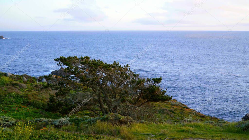 Beautiful Pacific coastline at Big Sur California - travel photography