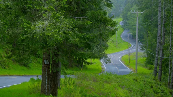 Piękne lasy i natura Oregonu - zdjęcia z wakacji — Zdjęcie stockowe
