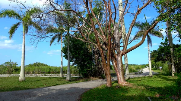 El hermoso paisaje de los USA Keys — Foto de Stock