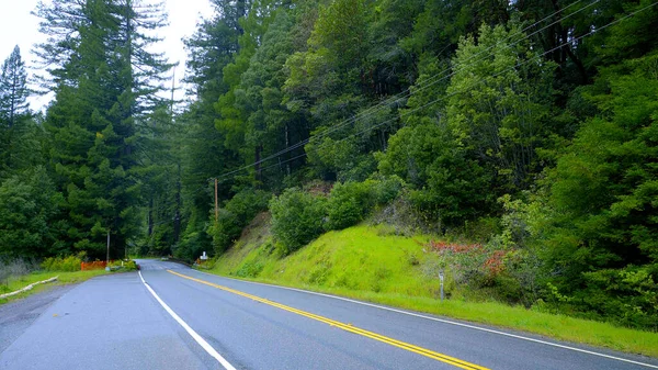 I bellissimi boschi e la natura dell'Oregon - fotografia di viaggio — Foto Stock