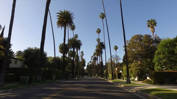 Alley of Palm Trees in Beverly Hills - LOS ANGELES, UNITED STATES - APRIL 21, 2017 — Stock Photo, Image