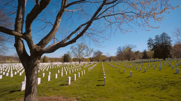 华盛顿特区著名的阿灵顿公墓-旅行摄影 — 图库照片
