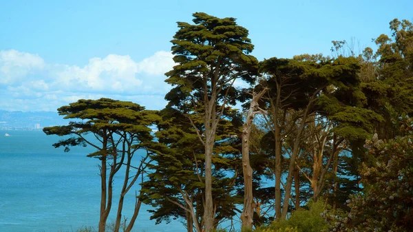 Beautiful San Francisco Bay - view from Battery East Park - travel photography — Stock Photo, Image