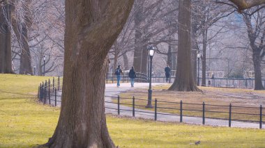New York 'taki güzel Central Park - seyahat fotoğrafçılığı