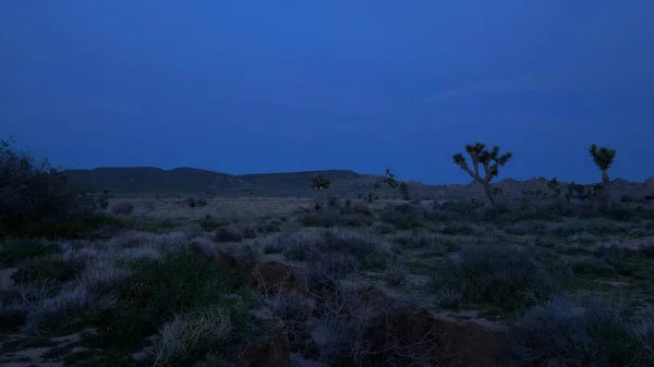 Poušť v Nevadě v noci — Stock fotografie