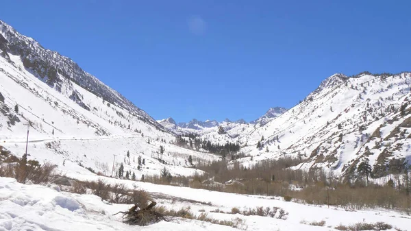 Les montagnes enneigées de la forêt nationale d'Inyo — Photo