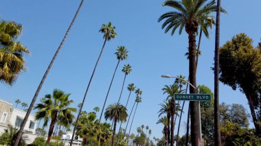 Beverly Hills sokaklarında araba kullanmak - seyahat fotoğrafçılığı