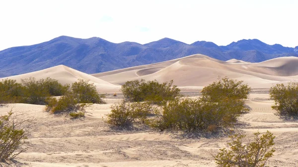 Big Sand Dunes in the desert of Nevada — Stock Photo, Image