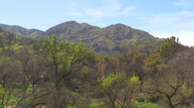 California 'daki Malibu Creek Eyalet Parkı