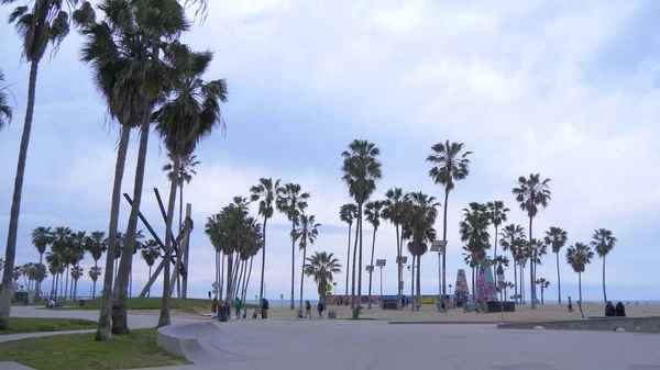 Palmetrær ved Venice Beach oseanfront - CALIFORNIA, USA - MARCH 18, 2019 – stockfoto