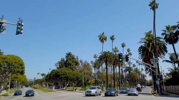 Beverly Hills 'teki Palmiye Ağacı Geçitleri - LOS ANGELES, ABD - 1 Nisan 2019 — Stok fotoğraf