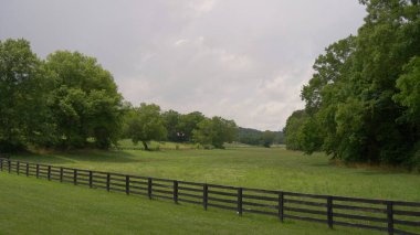 Tennessee 'deki yeşil tarım arazileri - LEIPERS Fork, Birleşik Devletler - 17 Haziran 2019
