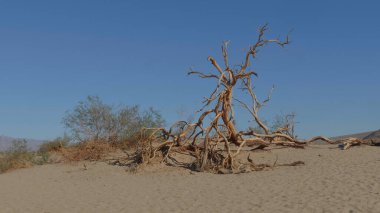 Ölüm Vadisi Ulusal Parkı 'ndaki kum tepeleri Mesquite Düz Kum tepeleri