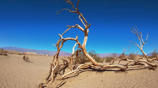 Increíble Parque Nacional del Valle de la Muerte - las dunas de arena Mesquite —  Fotos de Stock