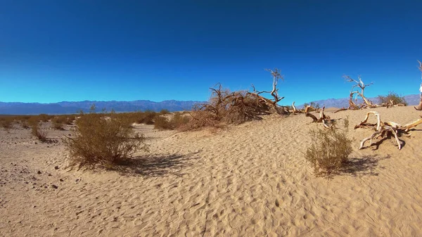 Mesquite platta sanddyner i Death Valley National Park — Stockfoto