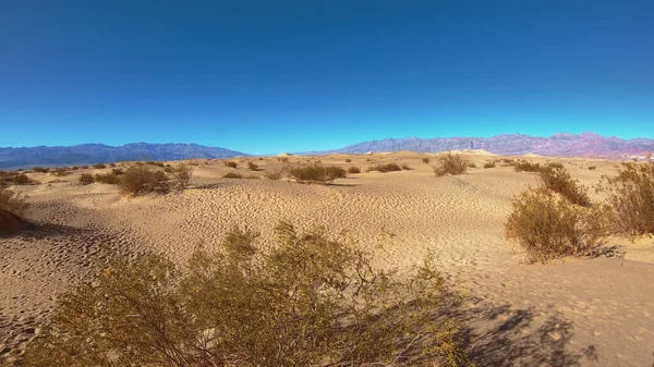 Dunes de sable plat Mesquite dans le parc national de la vallée de la Mort — Photo