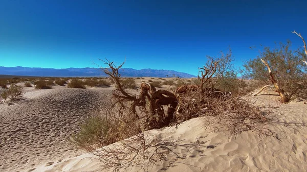 Mesquite flat sand dunes in Death Valley National Park