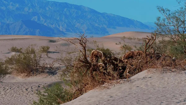 Sanddünen im Death Valley Nationalpark - Mesquite Flache Sanddünen — Stockfoto